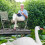 XXL Gartendeko Schwan 3