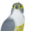 Vogel erschreckt Falke sitzt 9