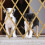 Cancelletto retrattile in bambù per cani 3