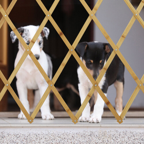 Cancelletto retrattile in bambù per cani 2