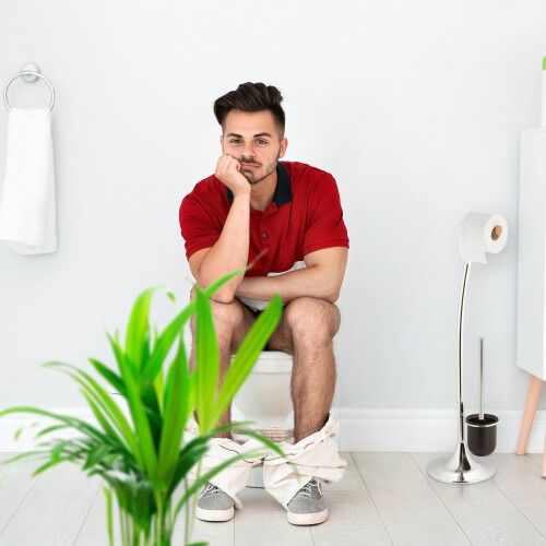 2 Stk. Toilettenbürsten 2