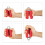 Handtrainer 2er Set 6