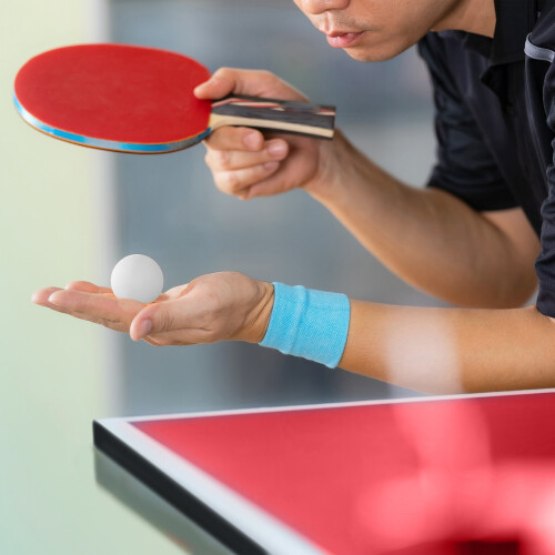 Folding table tennis table with accessories 2