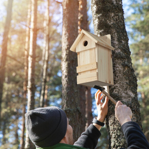 Vogelhaus aus Holz mit Spitzdach 2