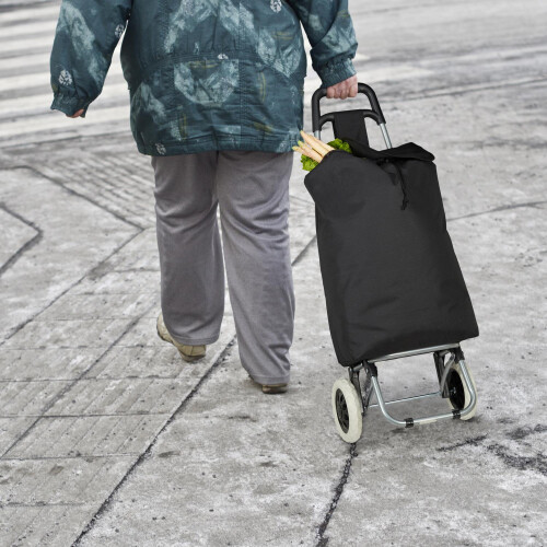 Zusammenklappbarer Einkaufswagen 2