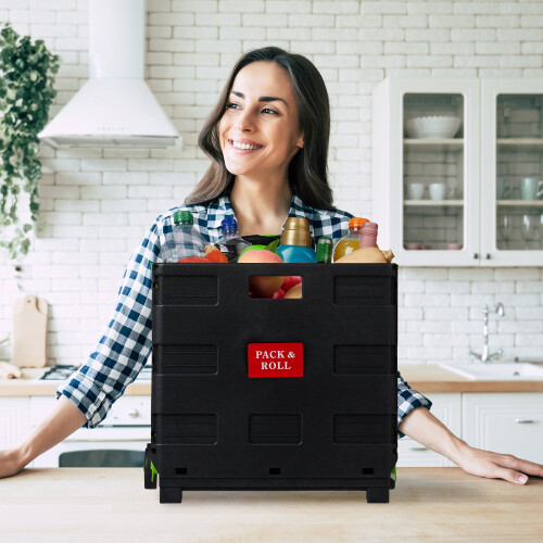 Zusammenklappbarer Einkaufswagen 1