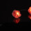 Lichterkette Rosen 6