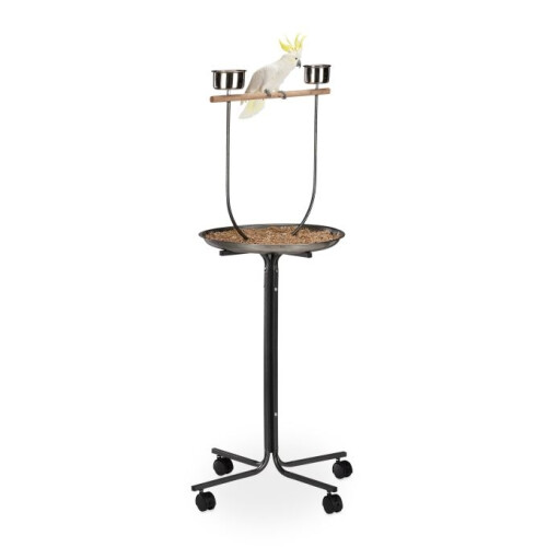 Papageienstange mit Ständer