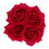Weiße runde Rosenbox mit 4 Rosen 2