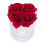 Weiße runde Rosenbox mit 4 Rosen 1