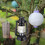 LED-Sturmlaterne 2