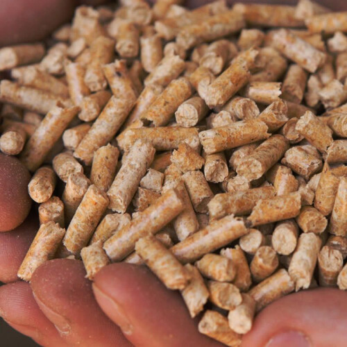 Pelletised Worm Treats (1.5 kg Bag)