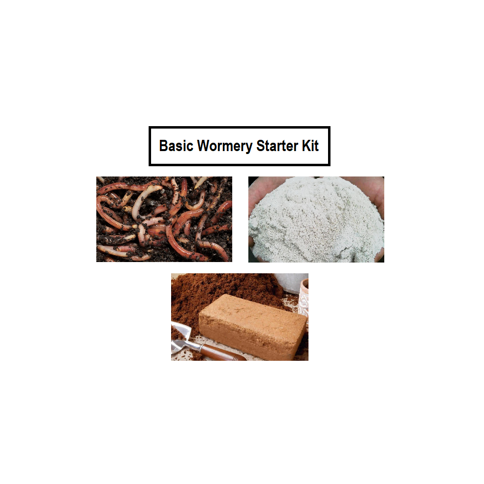 Original Organics Basic Wormery Starter Kit