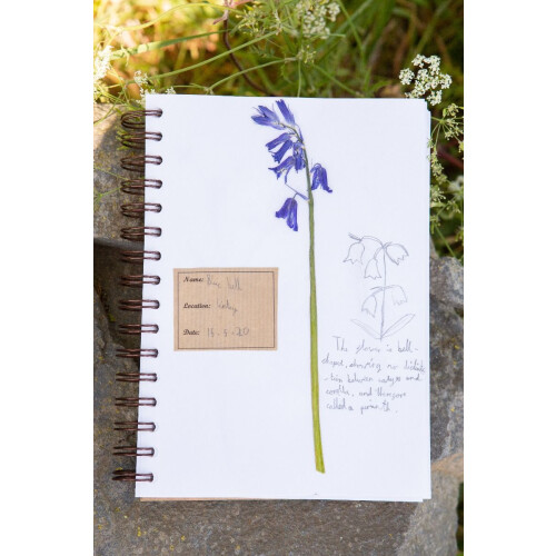The Herbarium Kit - The Den Kit Co. 1