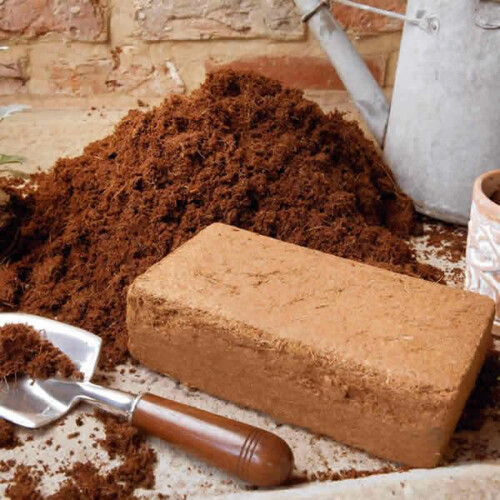 Coir Block for Wormery Bedding - 600 grams
