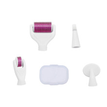 6 en 1 Derma Roller – Santé du corps et du visage – Soin de la peau – Micro-aiguilles Anti-âge – Kit Royaume-Uni