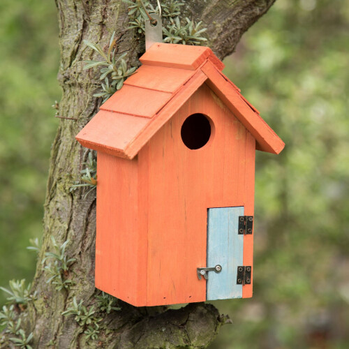 Buntes Vogelhaus 1