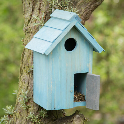 Buntes Vogelhaus 1