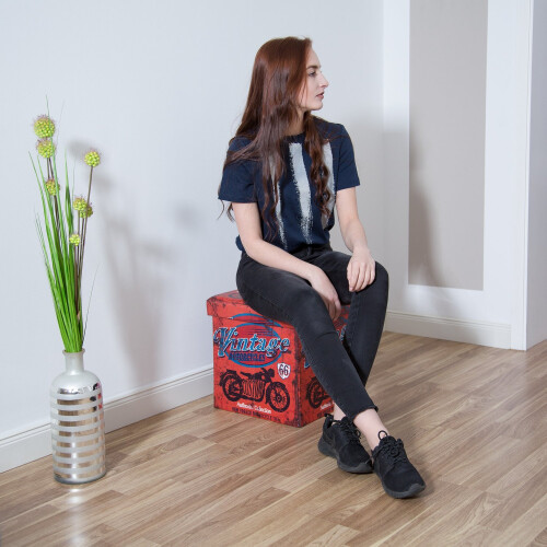 Hocker mit Stauraum Trendmotiv 1