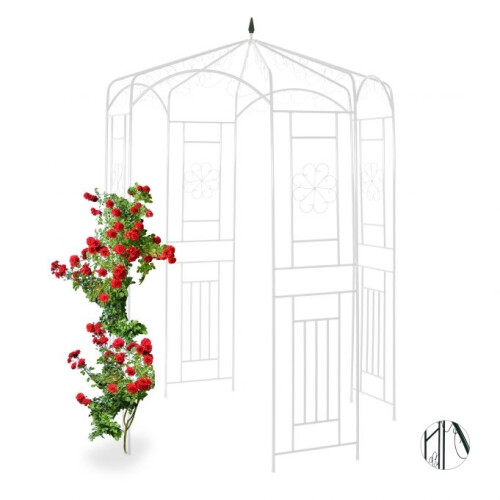 Rosa Pavillon Metall