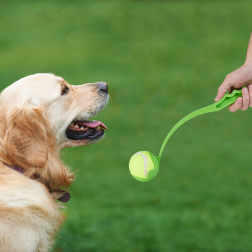 Kugeln für Hunde 2er Set 1