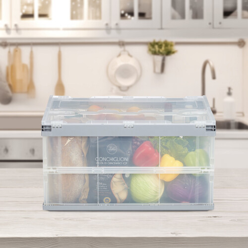 Transparente Transportbox mit Deckel 2