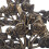 Schlauchhalter antike Rosen 4