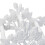 Schlauchhalter antike Rosen 6