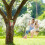 Nistkasten HOME TWEET HOME 3