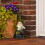 Garden gnome with acorn basket 3