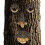 Baumgesicht Naturgeist 1
