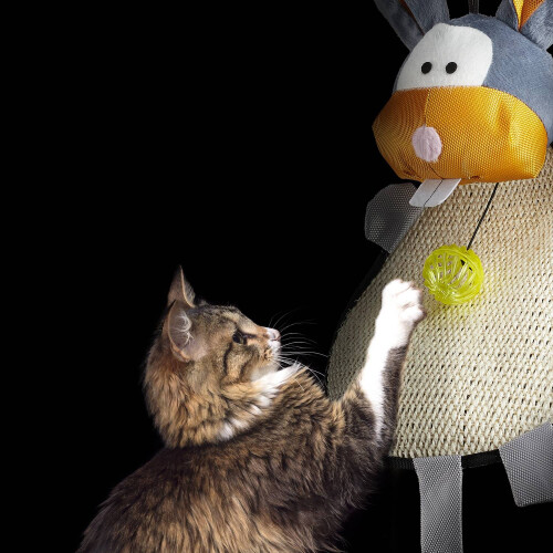 Kratzmatte für Katzen 2