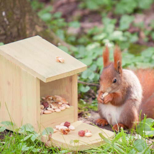 Eichhörnchenfutterspender zum Hinstellen 1