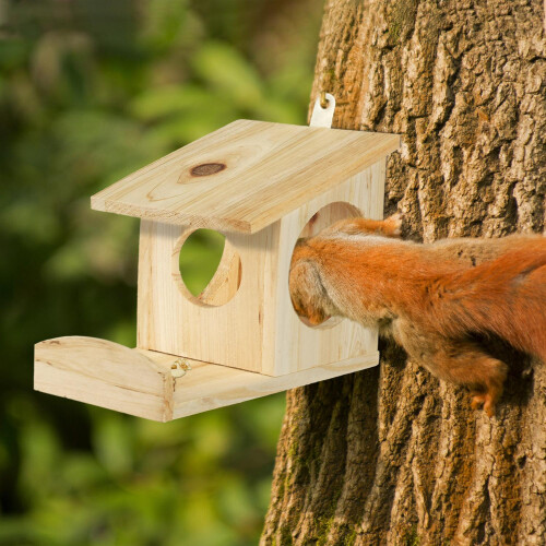 Hängendes Futterhäuschen für Eichhörnchen 1