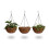 Ampel Kokosfaser 3er Set 1