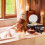 Badekorb 2er Set 5