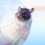 Hamsterball transparent 3