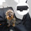 Hundedecke Auto 1