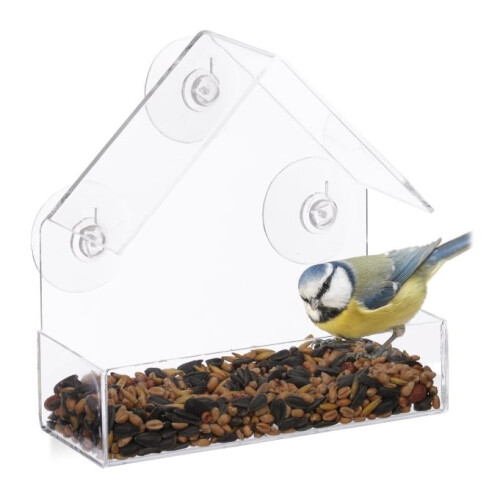 Vogelhäuschenfenster