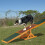 Agility for dogs Seesaw 2