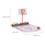 Trinkspiel mit Basketball 4
