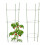Tomaten Rankhilfe 2er Set 1