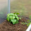 Kalter Aluminiumrahmen 5