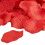 Konfettikanone rote Rosenblätter 8