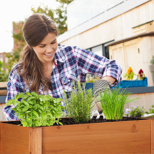 Plant shelf with growing box wood 2
