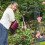 Rose arch with bench seat for 2 3
