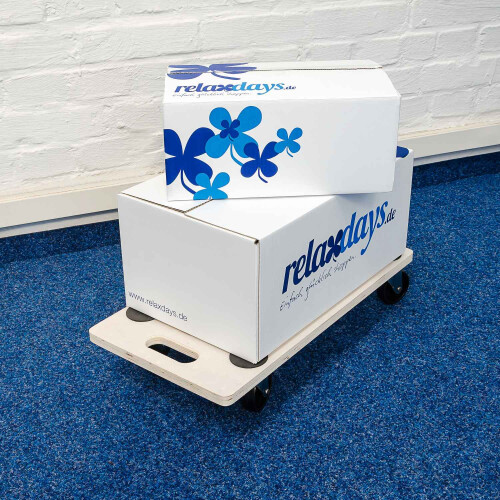 Transportrolle 1