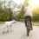Bicycle leash with distance for dogs 5