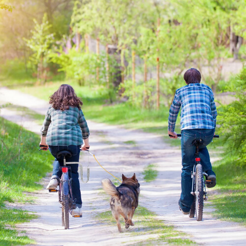 Bicycle leash with distance for dogs 2