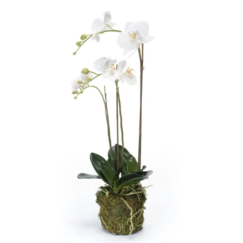 Emerald Artificial Phalaenopsis Orchid 70cm White Faux Lifelike Indoor Plant